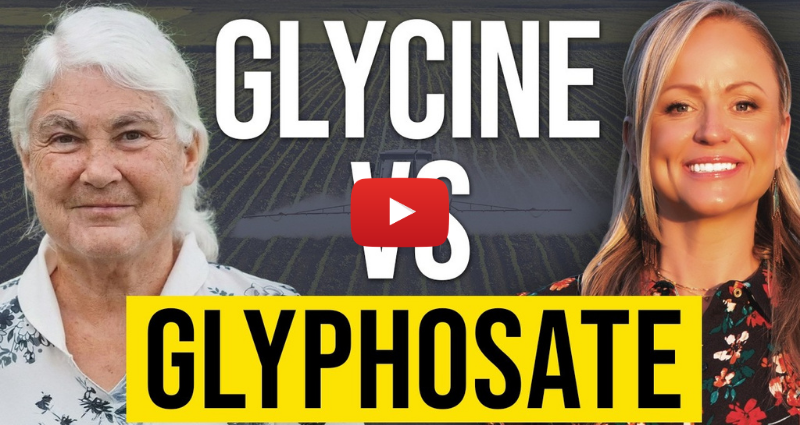 Dr. Stephanie Seneff and Dr. Autumn Smith explore glyphosate, glycine, gut health, and chronic disease on the ReThink Health Podcast.